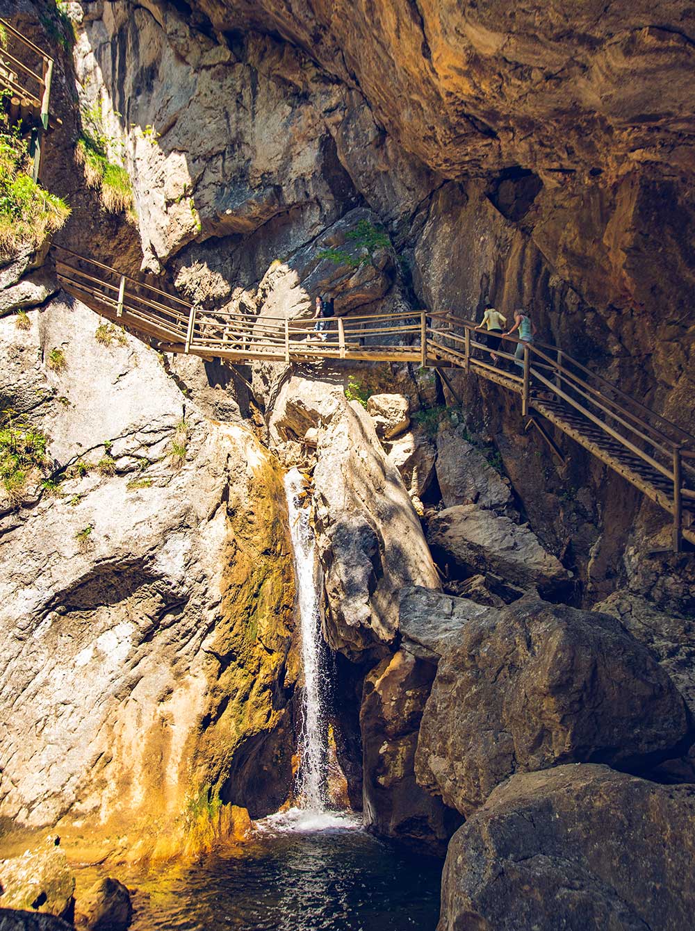 view at waterfall path along mountain stream touri potrait 1