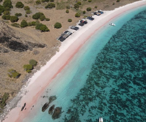 pink coastline – komodo flores trails pink coastline - komodo flores trails